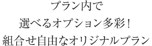 プラン内で選べるオプション多彩!組合せ自由なオリジナルプラン